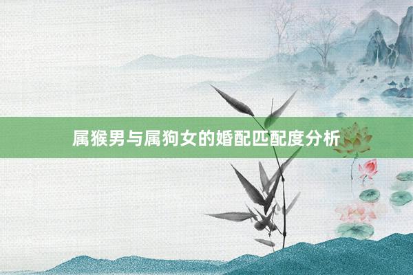 属猴男与属狗女的婚配匹配度分析