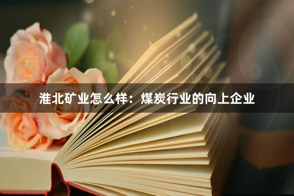 淮北矿业怎么样：煤炭行业的向上企业